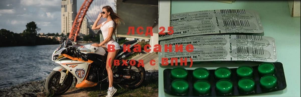 дживик Алзамай